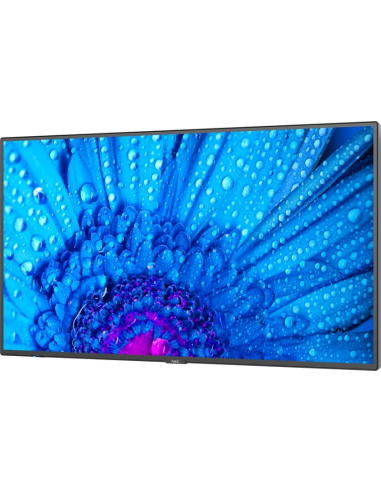 SHARP NEC MultiSync M431