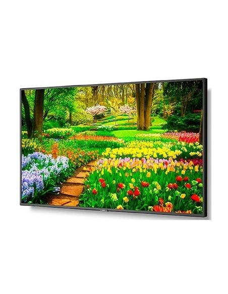 SHARP NEC MultiSync M491