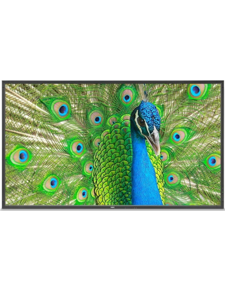 SHARP NEC MultiSync E498