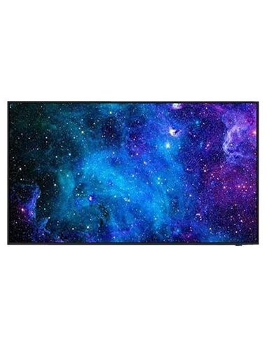 SHARP NEC MultiSync E498