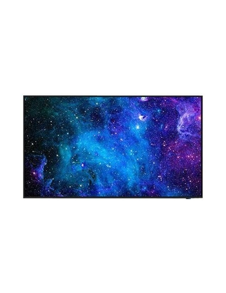 SHARP NEC MultiSync E498