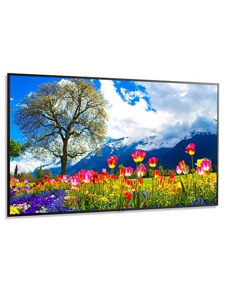 SHARP NEC MultiSync M981