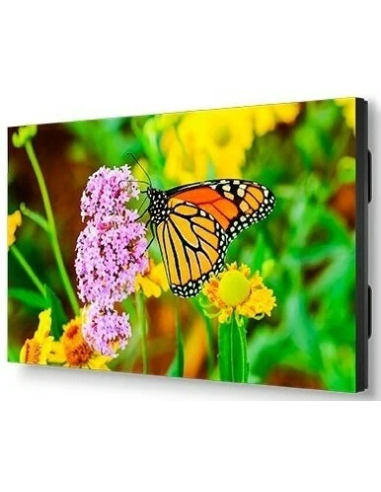 SHARP NEC MultiSync UN552S