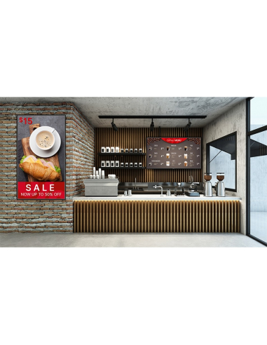 VIVITEK NovoDisplay DK863