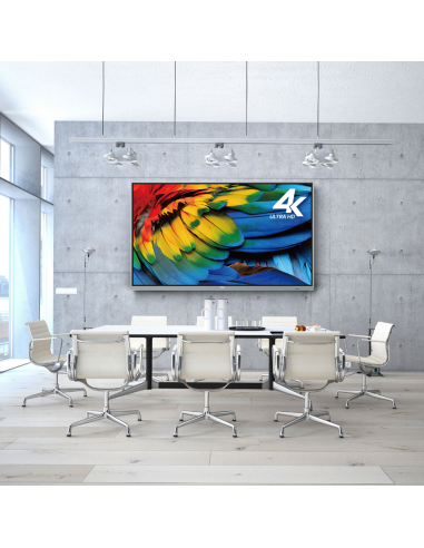 VIVITEK NovoTouch EK755i