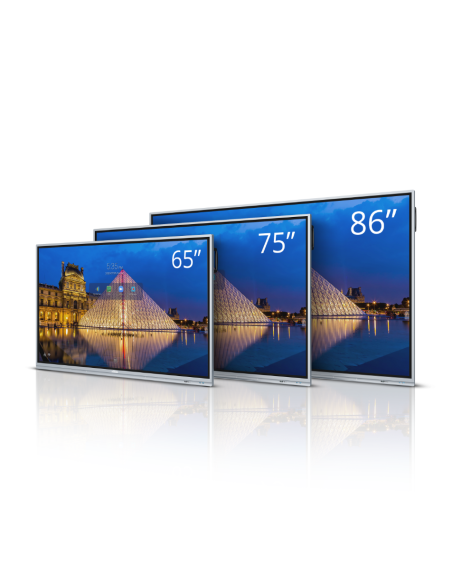 VIVITEK NovoTouch EK755i