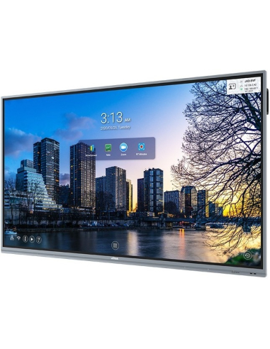 VIVITEK NovoTouch EK865i