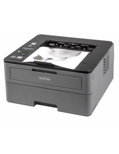 BROTHER HL-L2350DW