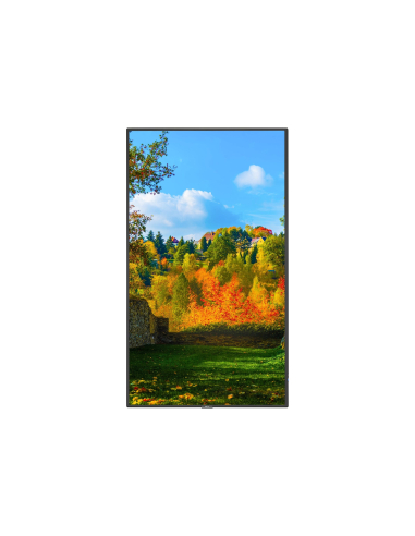 SHARP NEC MultiSync M491 PCAP