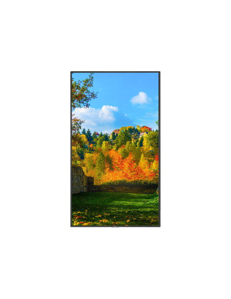 SHARP NEC MultiSync M491 PCAP