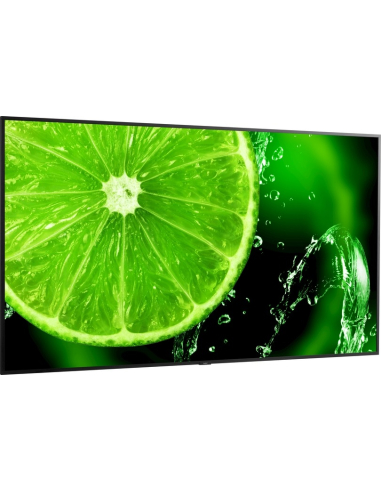 SHARP NEC MultiSync E988