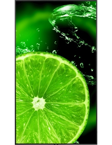 SHARP NEC MultiSync E988