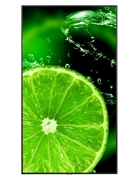 SHARP NEC MultiSync E988