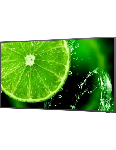 SHARP NEC MultiSync E658