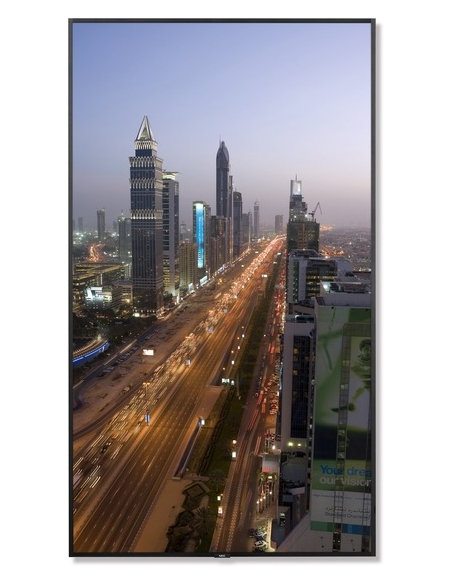 SHARP NEC MultiSync M981