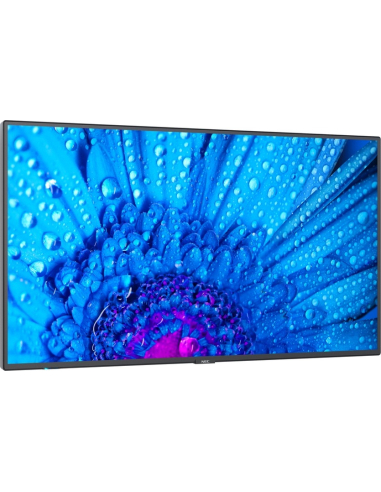 SHARP NEC MultiSync M651