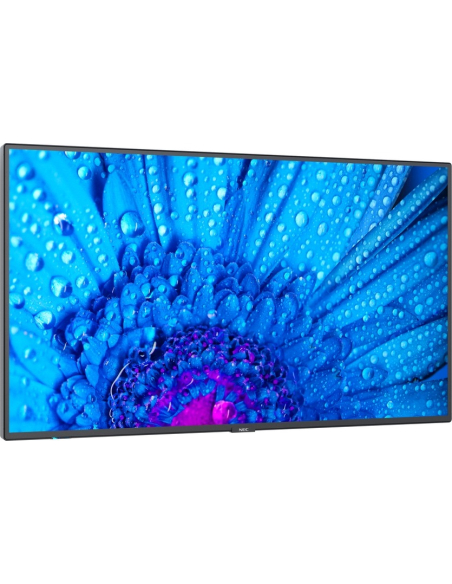 SHARP NEC MultiSync M651